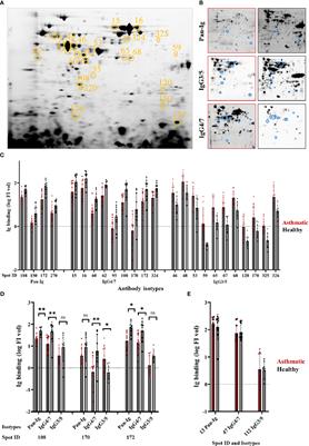 Immunoproteomics enable broad identification of new Aspergillus fumigatus antigens in severe equine asthma